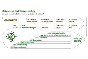 Meilensteine Pflanzenzüchtung