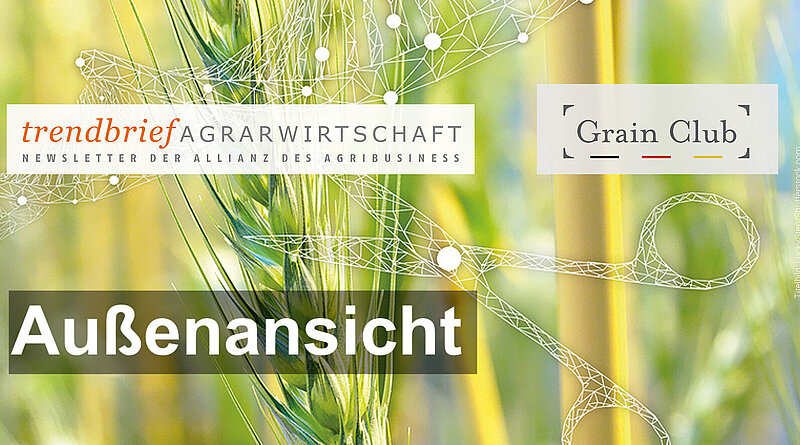 Trendbrief Grain Club