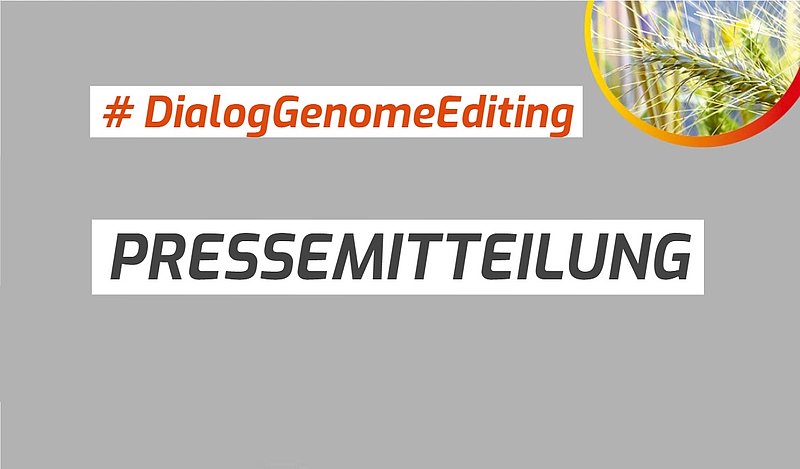 Pressemitteilungen
