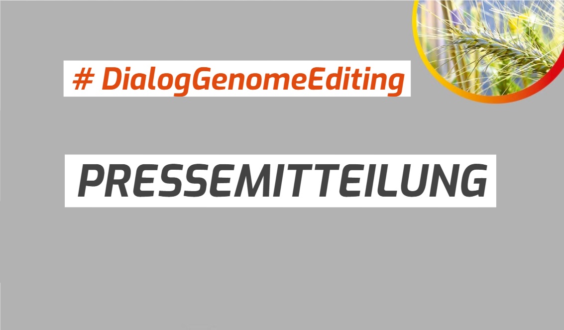 Pressemitteilungen